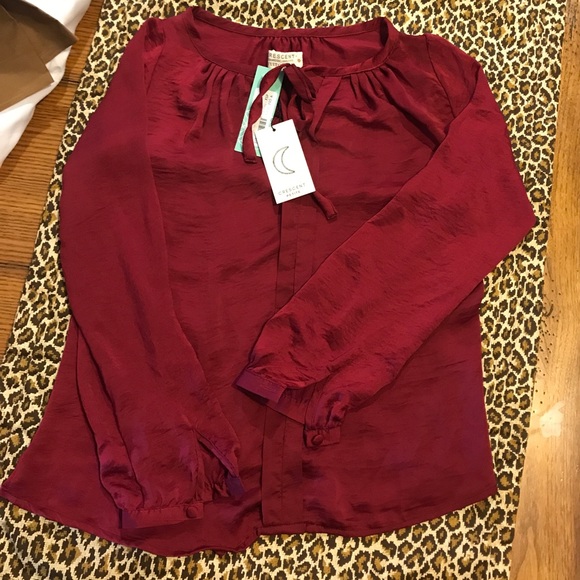 Stitch Fix - Charleton Tie Neck Blouse - Picture 1 of 2